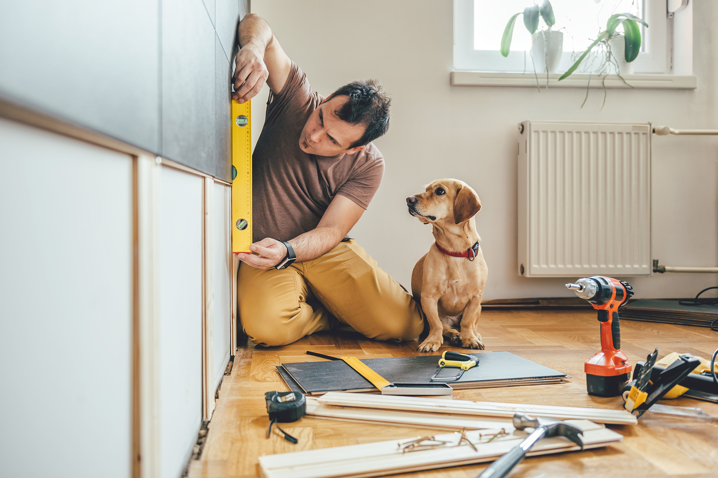 man making renovations inside of his house while surrounded by tools and his dog